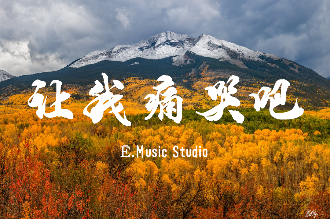 让我痛哭吧（C转F）